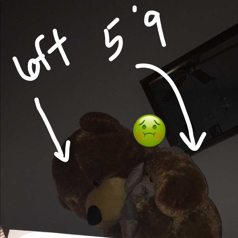 oversized teddy bear